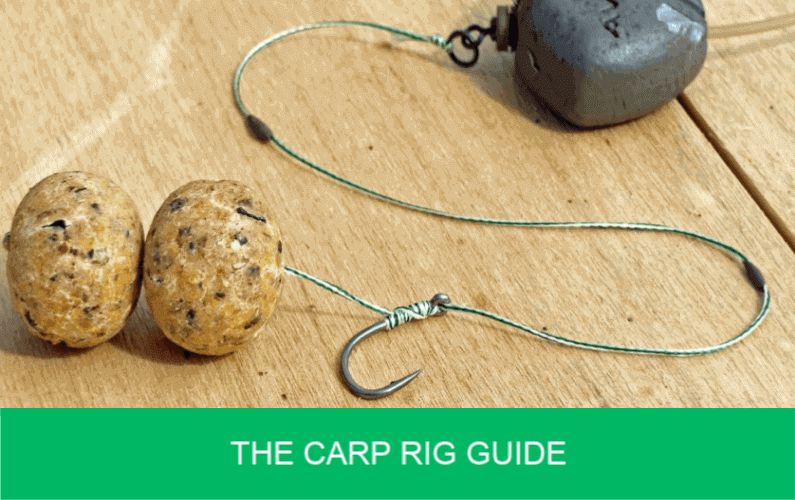 carp rig bitstamp