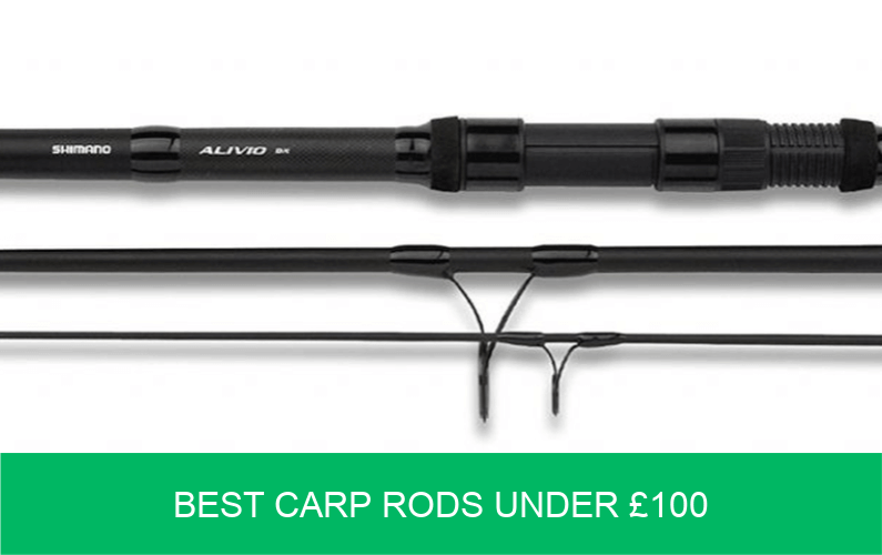 best cheap carp rods